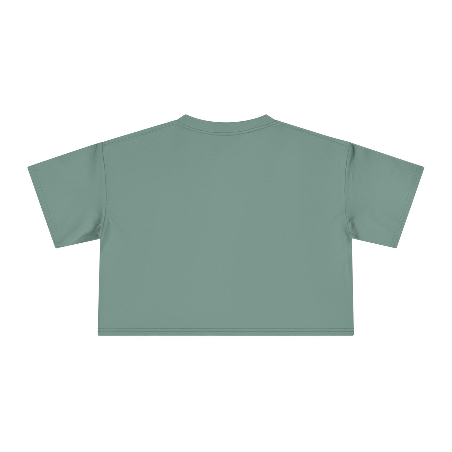 Tallahassee Logo Crop Tee